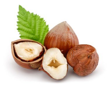 Yeşil yapraklı bir grup fındık.