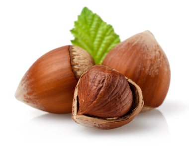 Yeşil yapraklı bir grup fındık.