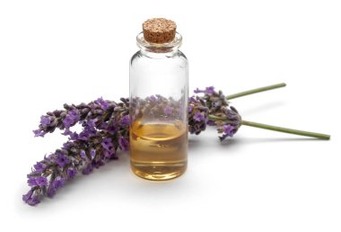 Taze lavanta ve izole lavanta yağı bir şişe