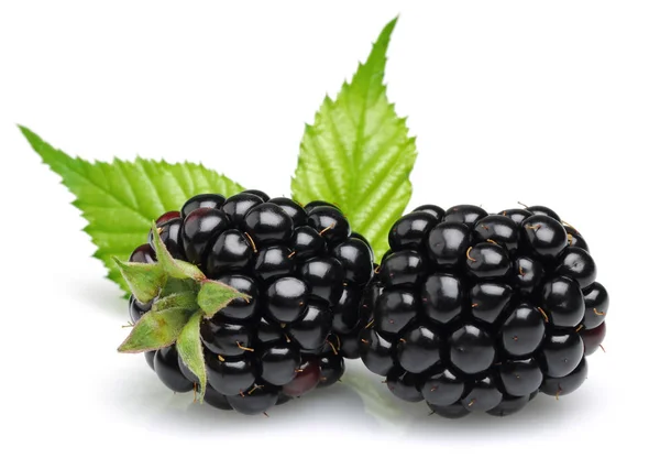 Fresh two blackberries with leaves isolated — Stock Photo, Image