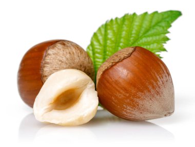 Yeşil yapraklı bir grup fındık.