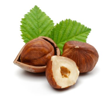 Yeşil yapraklı bir grup fındık izole