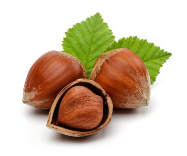 Yeşil yapraklı bir grup fındık izole