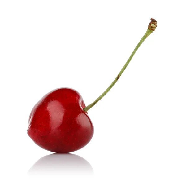 Cereza roja madura con tallo aislado en blanco — Foto de Stock