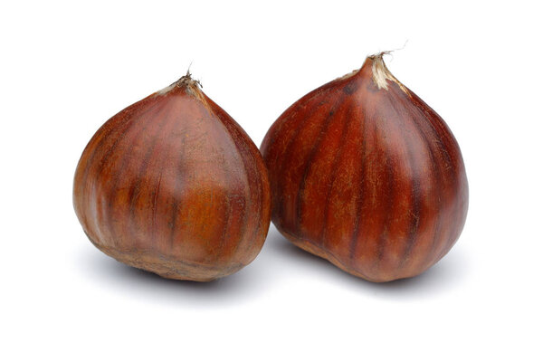 Каштаны изолированы на белом фоне