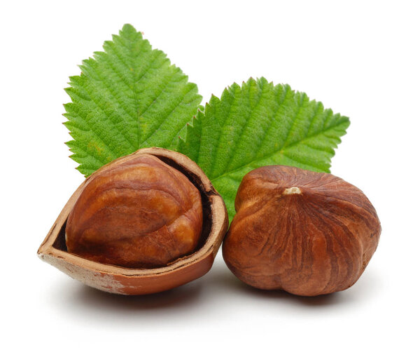 Group of hazelnuts with green leaves isolated