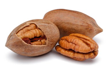 Pecan nut isolated on white background clipart
