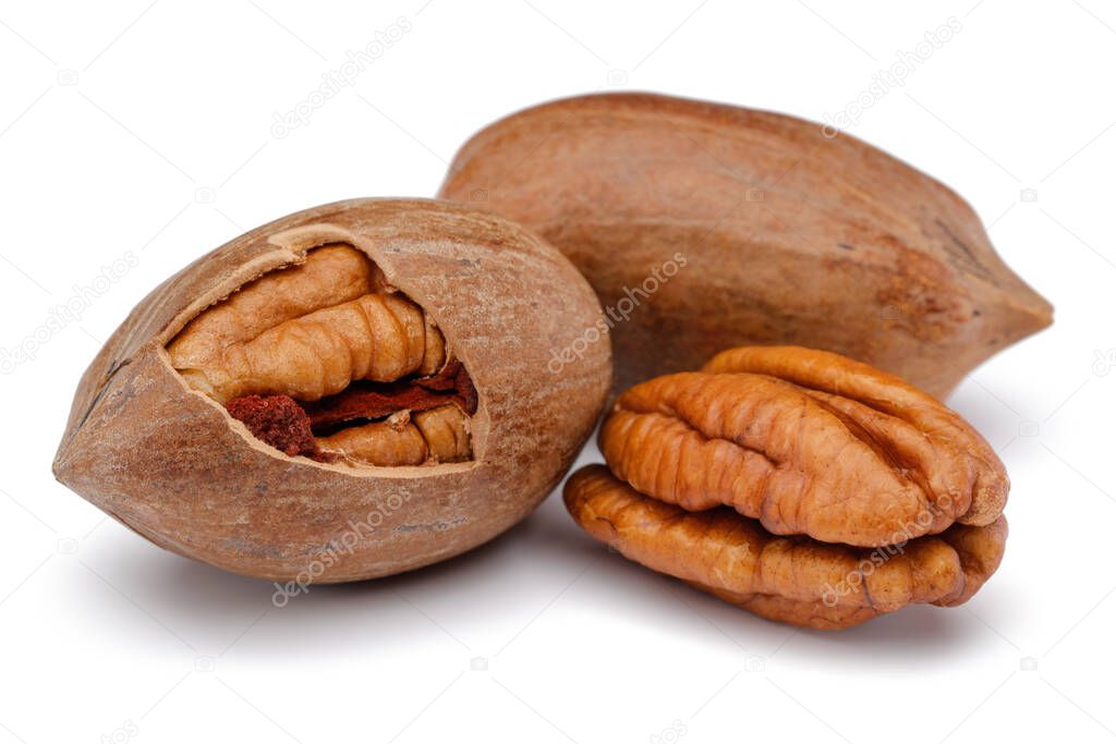 Pecan nut isolated on white background