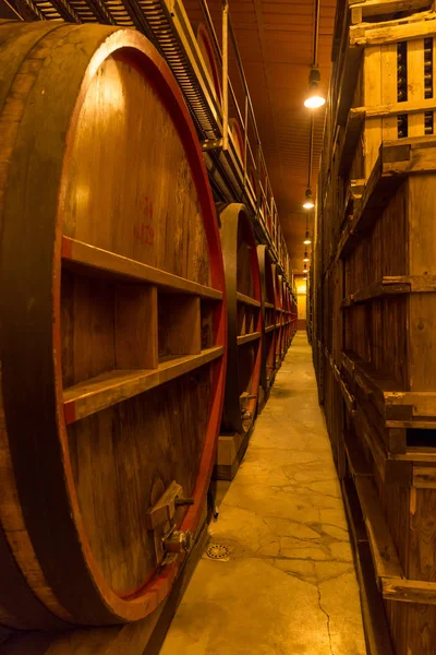 Barili Vino Cantina Italia Toscana — Foto Stock