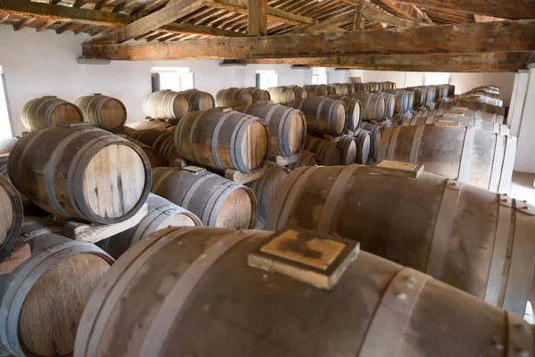 Wine Barrels Cellar Italy Tuscan — Stock Photo, Image