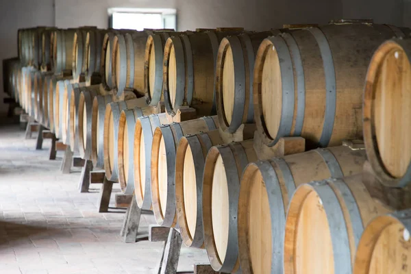 Wine Barrels Cellar Italy Tuscan — Stock Photo, Image