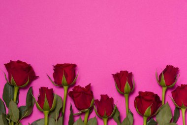 Sevgiliye arka plan, kırmızı gül renkli, ücretsiz kopya metin alanı ile sorunsuz pembe arka plan