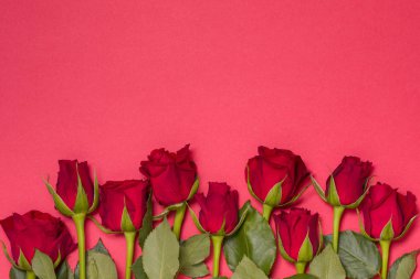 Sevgiliye arka plan, kırmızı gül renkli, ücretsiz kopya metin alanı ile sorunsuz kırmızı arka plan