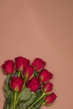 Sevgiliye arka plan, romantik sorunsuz çıplak arka plan, kırmızı gül buketi, ücretsiz kopya metin alanı