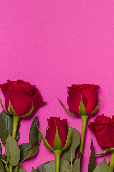 День Святого Валентина Фон Бесшовный Розовый Фон Красной Розой Границы — стоковое фото