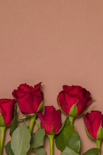 День Святого Валентина Фон Бесшовный Обнаженный Фон Красной Розой Границы — стоковое фото