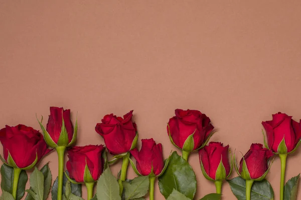 День Святого Валентина Фон Бесшовный Обнаженный Фон Красной Розой Границы — стоковое фото