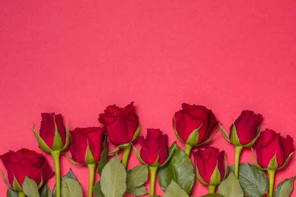 День Святого Валентина Фон Бесшовный Красный Фон Красной Розой Границы — стоковое фото