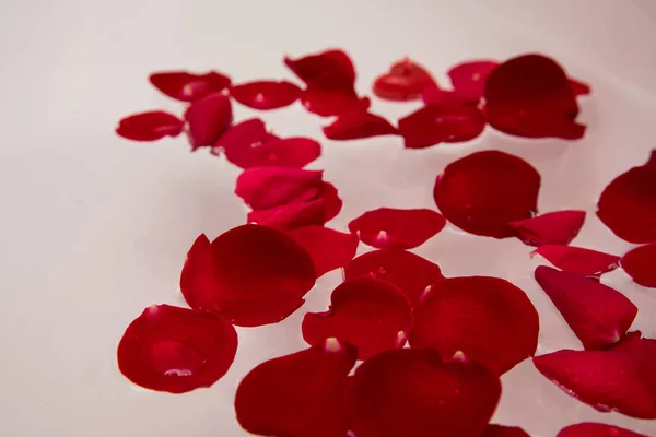 Valentines day rose petal in bath water surprise,romantic luxury