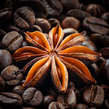 Yıldız anason kahve çekirdekleri, arka plan üzerinde yakın çekim