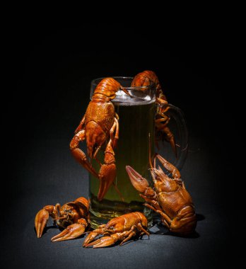 haşlanmış kerevit, karanlık bir arka plan üzerinde bira bardağı 