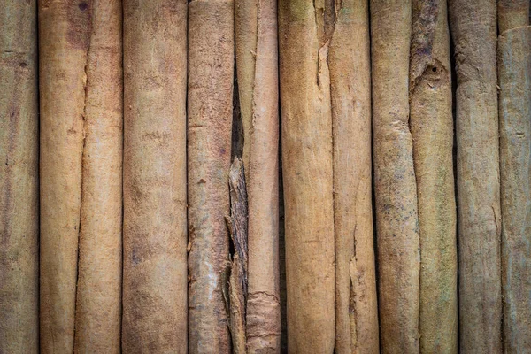 spices, background, natural sticks of ceylon cinnamon close-up