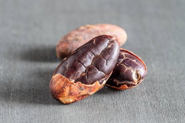 forastero çeşitli gri arka plan üzerinde ham kakao çekirdekleri yakın çekim