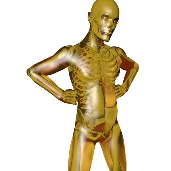 Ein Goldener Mann Mit Transparentem Skelett — Stockfoto