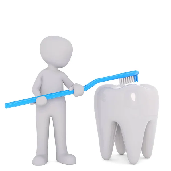 Démontrer Comment Nettoyer Vos Dents Correctement — Photo