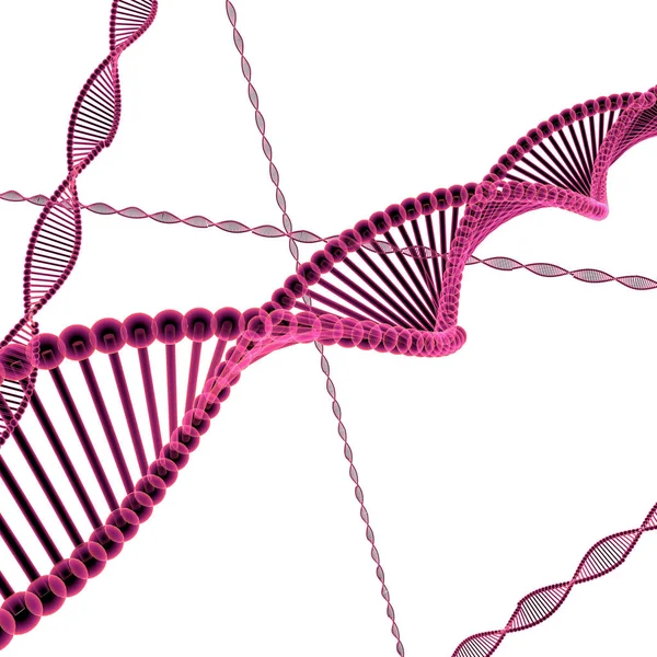 Dna コードはタンパク質の核酸の正しい順序の指示を運ぶ — ストック写真