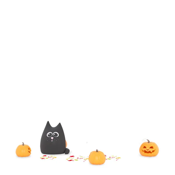 Gato Negro Con Calabazas Halloween — Foto de Stock