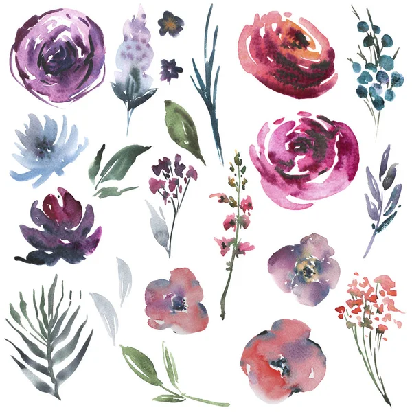 Αφηρημένη Υδατογραφία Floral Σύνολο Φυσικών Στοιχείων Ένα Prima Στυλ Ακουαρέλα — Φωτογραφία Αρχείου