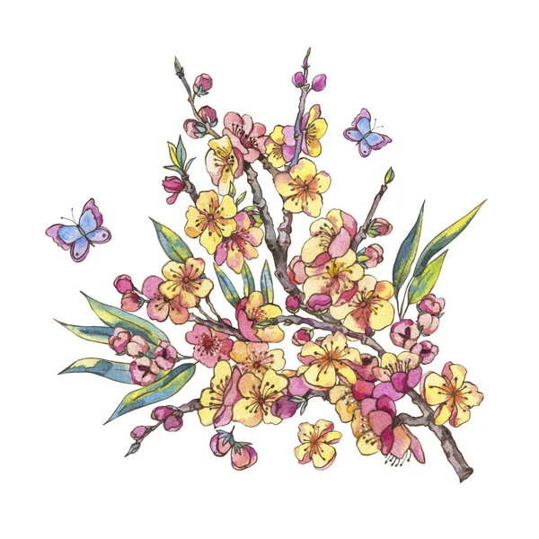 水彩春天贺卡 复古花束与樱花 苹果树和蝴蝶的盛开的分支 孤立的植物学插图 — 图库照片