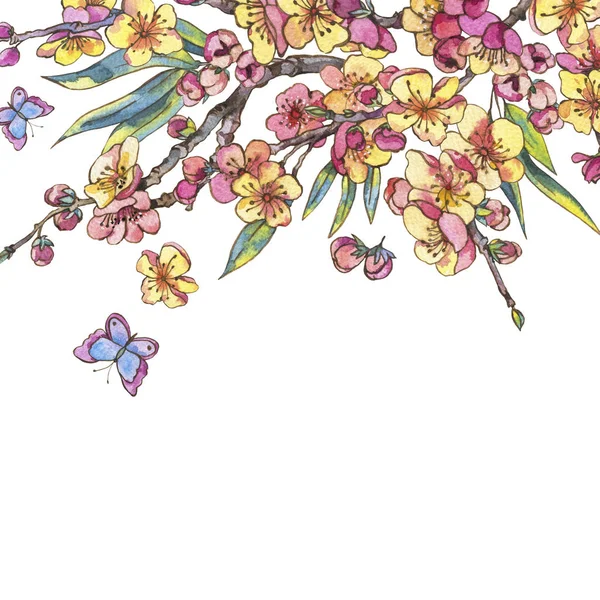 水彩春天贺卡 复古花卉装饰与樱花 苹果树和蝴蝶的盛开的分支 孤立的植物学插图 — 图库照片