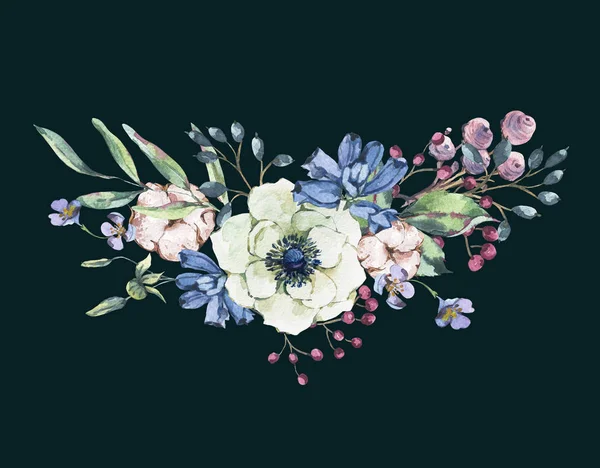装饰复古水彩画天然贺卡与海葵 叶和芽 植物花卉插图隔离在黑色背景 — 图库照片