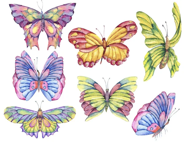 Conjunto Acuarela Mariposas Coloridas Vintage Colección Elementos Diseño Naturaleza Aislada —  Fotos de Stock