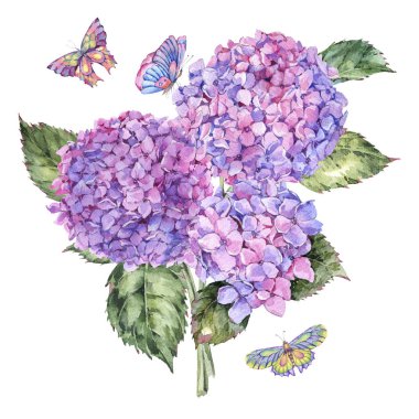 Suluboya yaz buket pembe ortanca ve kelebekler. Davet tebrik kartı. Doğal çiçek illüstrasyon izole beyaz arka plan üzerinde