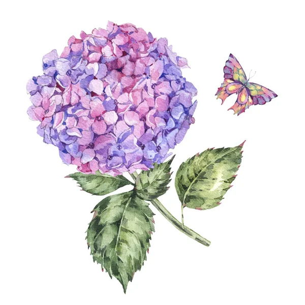 Aquarell Sommer Rosa Hortensien Und Schmetterlinge Einladungskarte Natürliche Florale Illustration — Stockfoto