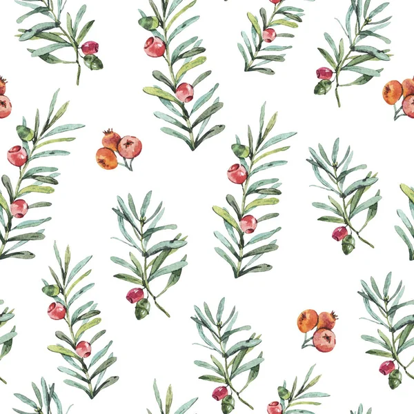 Akvarell Vintage Seamless Pattern Bogyók Wildflowers Természetes Virág Illustratio Fehér — Stock Fotó