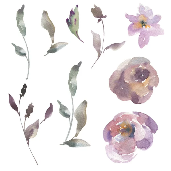 Watercolor Floral Set of Watercolor Roses. Flowers, Twigs, Leave — Stock Photo, Image