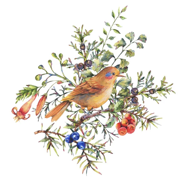 Acquerello vintage foresta floreale biglietto di auguri con gli uccelli, abete b — Foto Stock
