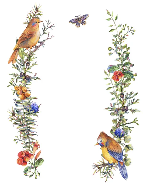 Corona de bosque floral vintage de acuarela con pájaros, ramas de abeto —  Fotos de Stock