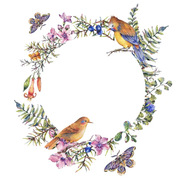 Acuarela vintage bosque floral marco redondo con pájaros, sujetador de abeto —  Fotos de Stock