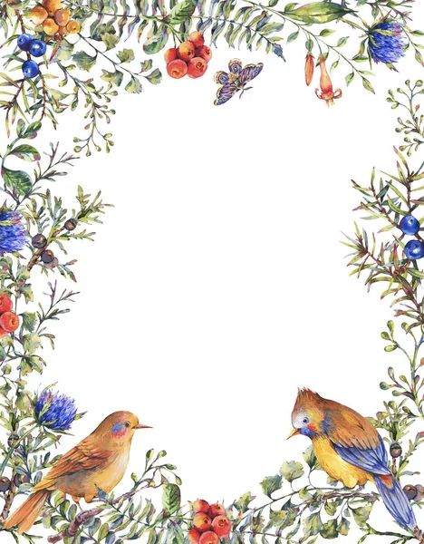 Watercolor vintage floral forest vertical frame with pair of bir — Stock Photo, Image