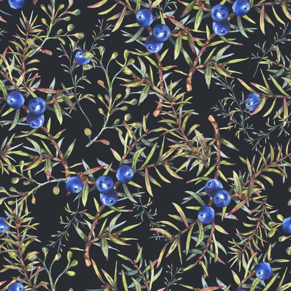Watercolor vintage floral forest seamless pattern with fir branc
