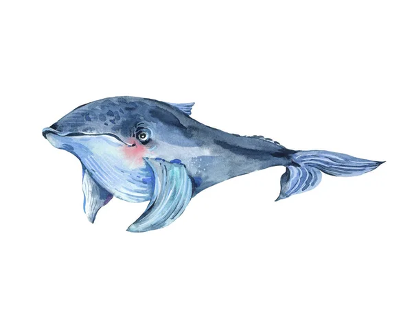 Aquarelle bleu baleine aquarelle illustration, salutation nautique — Photo