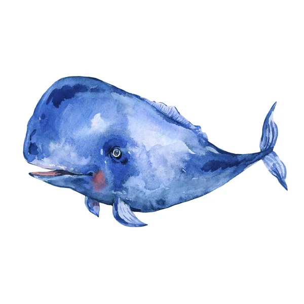 Aquarelle bleu baleine aquarelle illustration, salutation nautique — Photo