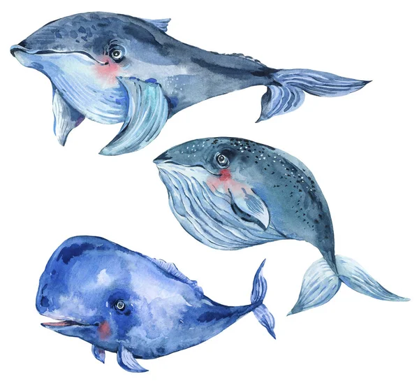 Aquarelle bleu baleine aquarelle illustration, salutation nautique — Photo