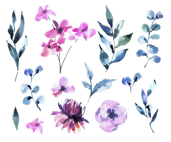 Set of Watercolor Vintage Magenta Flowers, Wildflowers. Natural — Stock Photo, Image