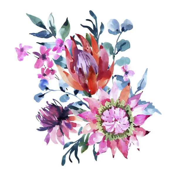 Tarjeta de felicitación acuarela tropical de flores protea. Rosa exótica — Foto de Stock